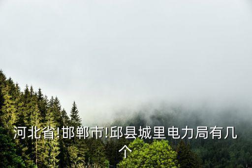 河北省!邯郸市!邱县城里电力局有几个