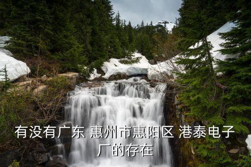 惠州港泰塑胶电子制品有限公司 招聘