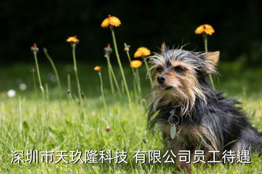 深圳市天玖隆科技 有限公司员工待遇