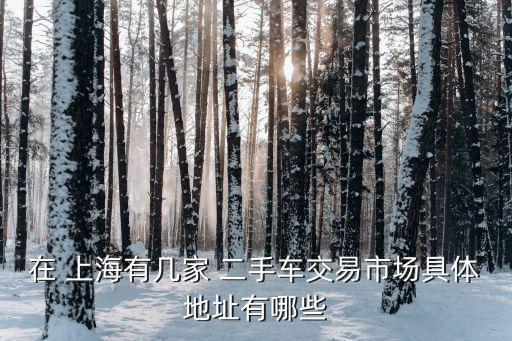 在 上海有几家 二手车交易市场具体地址有哪些