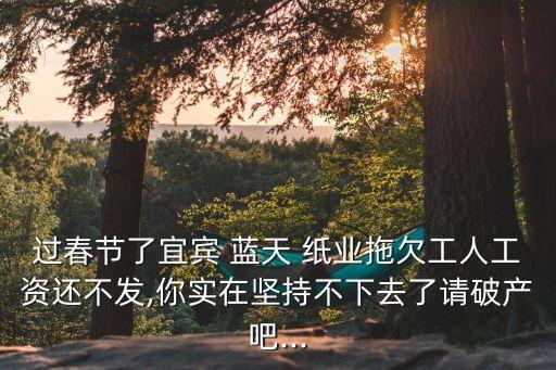 过春节了宜宾 蓝天 纸业拖欠工人工资还不发,你实在坚持不下去了请破产吧...