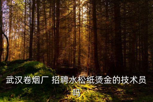 武汉卷烟厂 招聘水松纸烫金的技术员吗