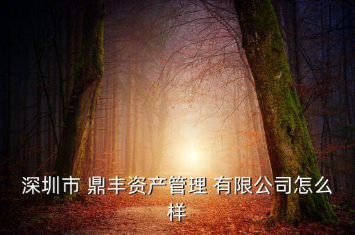深圳市 鼎丰资产管理 有限公司怎么样