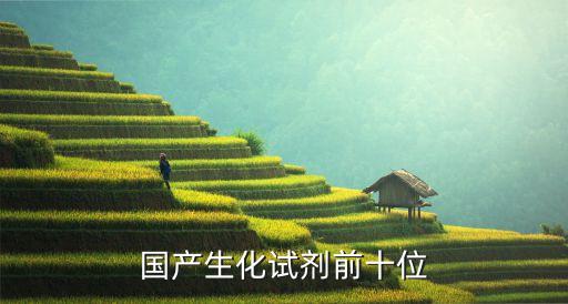 国产生化试剂前十位