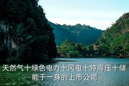 天然气十绿色电力十风电十特高压十储能于一身的上市公司