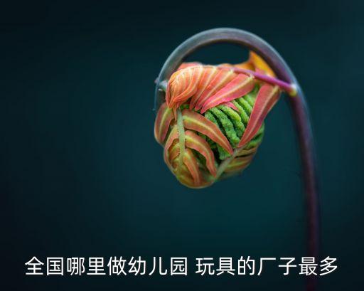 全国哪里做幼儿园 玩具的厂子最多