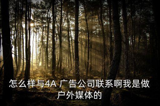 上海艾视广告传播有限公司,上海顺为广告传播有限公司