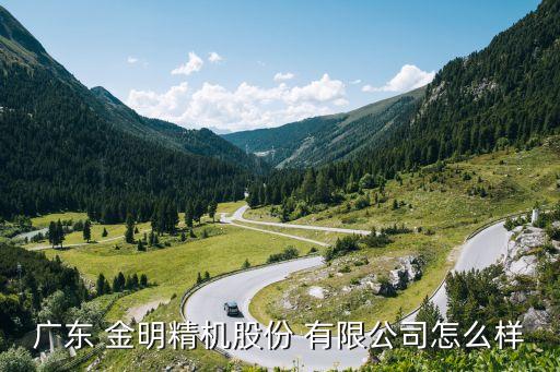 广东 金明精机股份 有限公司怎么样