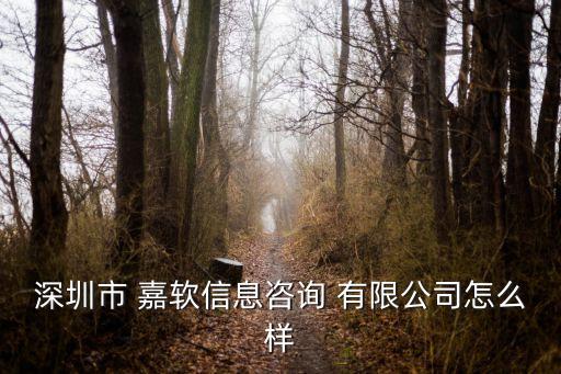 嘉软资讯科技有限公司,上海中远海运资讯科技有限公司
