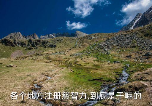 育智文化传播有限公司,深圳育智科创科技有限公司