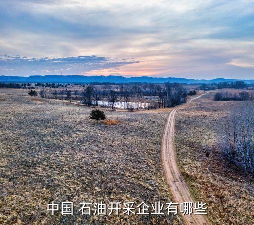 西安东方石油集团有限公司