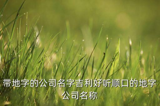 带地字的公司名字吉利好听顺口的地字公司名称