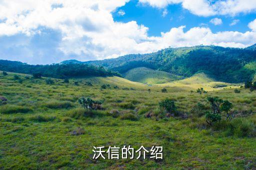 沃信的介绍