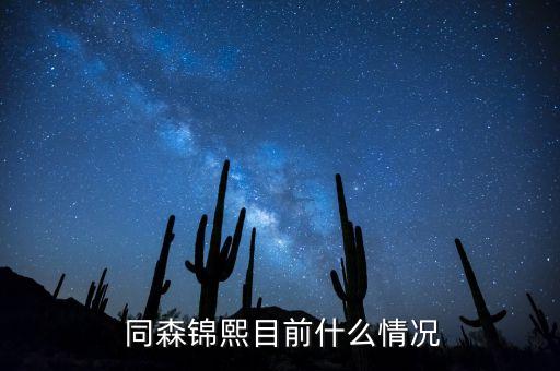 成都同森集团有限公司