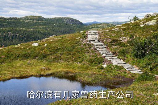  哈尔滨有几家兽药生产公司