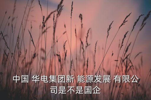 中国 华电集团新 能源发展 有限公司是不是国企