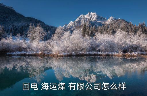  国电 海运煤 有限公司怎么样
