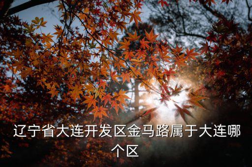  辽宁省大连开发区金马路属于大连哪个区