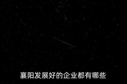 襄阳发展好的企业都有哪些