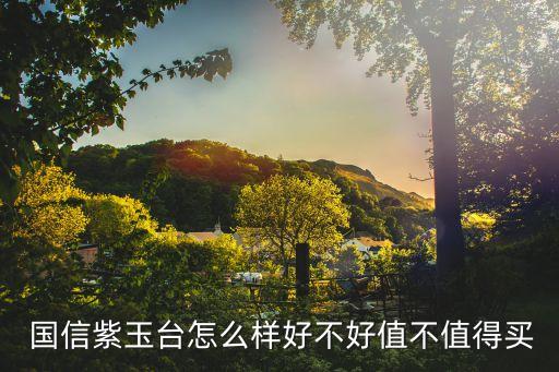  国信紫玉台怎么样好不好值不值得买