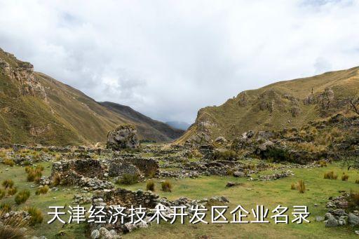天津经济技术开发区企业名录