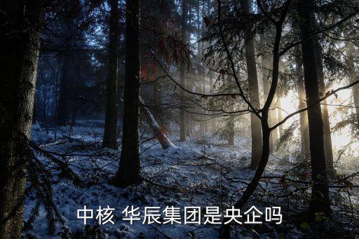 华辰建筑工程有限公司,中核华辰建筑工程有限公司四0四项目部