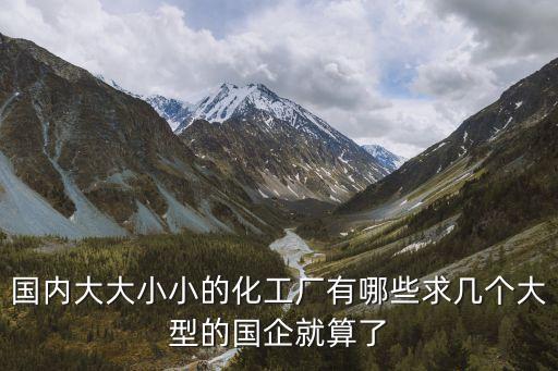 国内大大小小的化工厂有哪些求几个大型的国企就算了