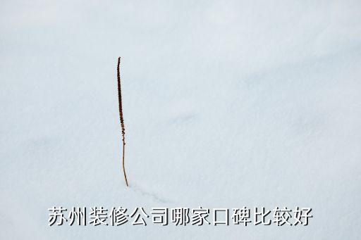 温州雅信科技有限公司 地址,温州牙科医院有限公司
