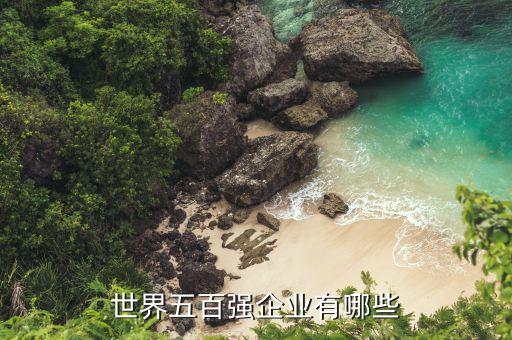 世界五百强企业有哪些