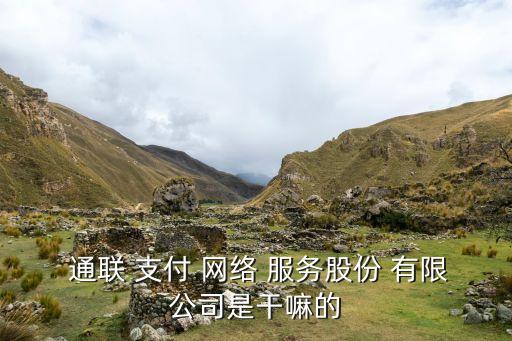  通联 支付 网络 服务股份 有限公司是干嘛的