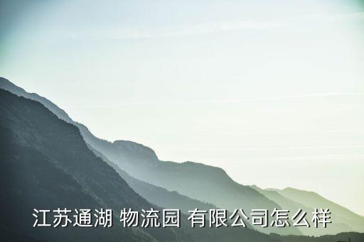 江苏通湖 物流园 有限公司怎么样