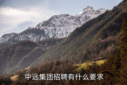  中远集团招聘有什么要求