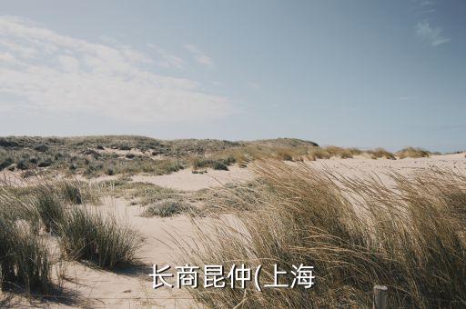 难道是北京首泰投资有限公司