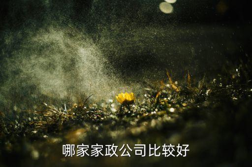 哪家家政公司比较好