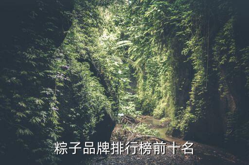 粽子品牌排行榜前十名