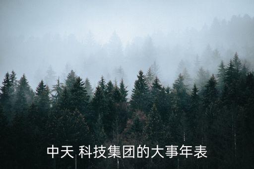 中天 科技集团的大事年表