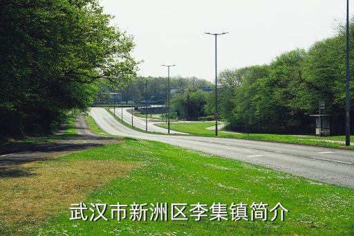 型砂有限公司 武汉,大林型砂有限公司是国企嘛