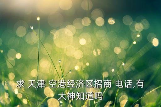 求 天津 空港经济区招商 电话,有大神知道吗