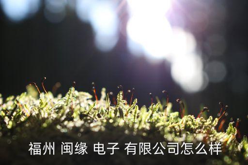 福州闽缘电子有限公司,福州米迦勒电子科技有限公司