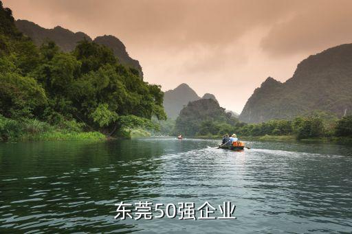 东莞50强企业