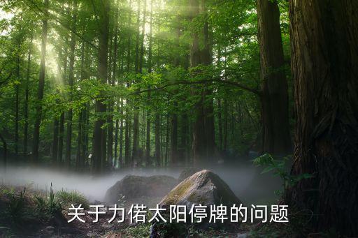 浙江力诺控股流体有限公司,瑞安市力诺流体有限公司