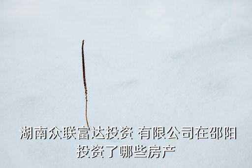 湖南君辉房地产开发有限公司,湖南润和房地产开发有限公司