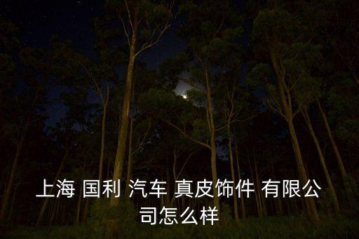 上海 国利 汽车 真皮饰件 有限公司怎么样
