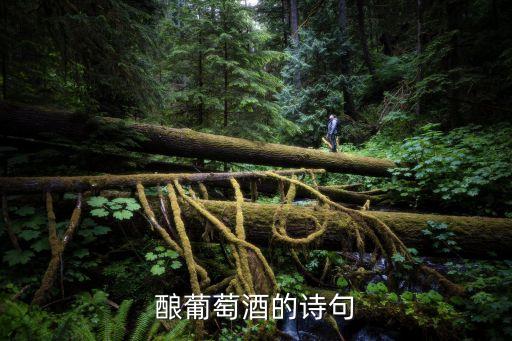 酿葡萄酒的诗句