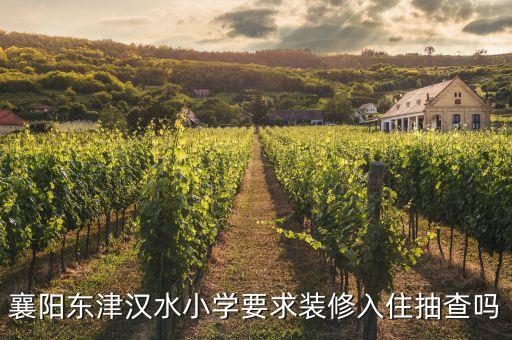 襄阳东津汉水小学要求装修入住抽查吗