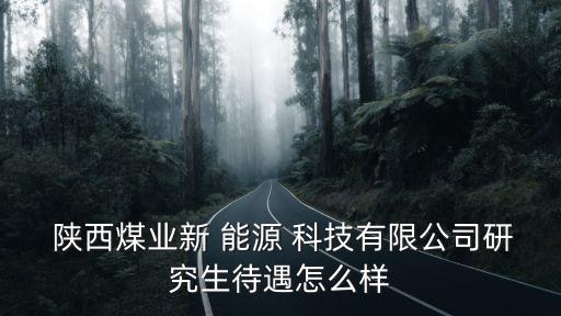  陕西煤业新 能源 科技有限公司研究生待遇怎么样