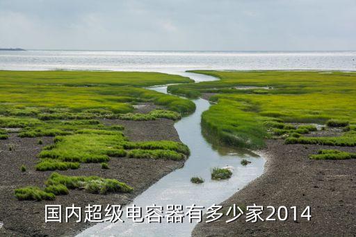 国内超级电容器有多少家2014