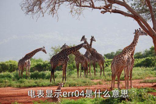 电表显示err04是什么意思