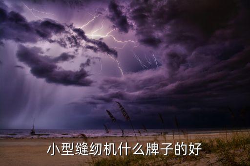 小型缝纫机什么牌子的好