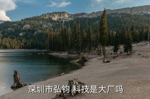  深圳市弘钧 科技是大厂吗